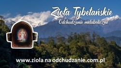 (1) Zioła Tybetańskie " Znhz ". Zdrowe i skuteczne odchudzanie. Szybki metabolizm. 1 opakowanie suszu ziołowego do parzenia. (1) Zioła Tybetańskie " Znhz ". Zdrowe i skuteczne odchudzanie. Szybki metabolizm. 1 opakowanie suszu ziołowego do parzenia.